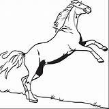 Horse Bucking sketch template