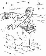 Coloring Pages Parable Parables Jesus Getcolorings Bible sketch template