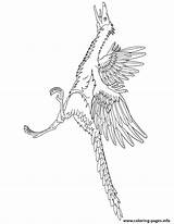 Coloring Dinosaur Pages Archaeopteryx Realistic Printable Easy Designlooter Library Clipart Popular Sketch sketch template