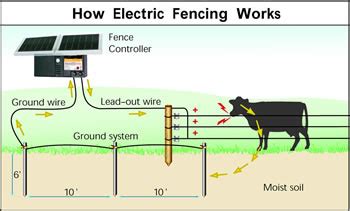 tutorial   set  electric fence energiser  video setupelectric