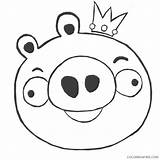 Coloring4free Angry Birds Coloring Pages Pigs King Related Posts sketch template