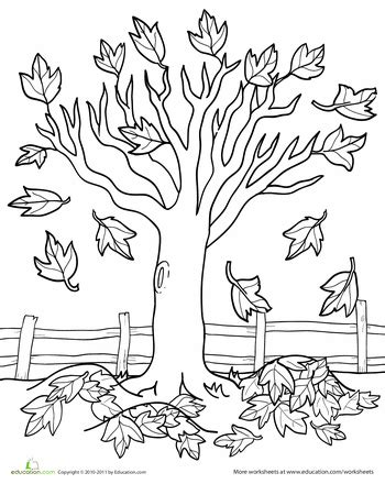 printable fall tree coloring pages alisaqohess