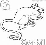 Coloring Gerbil Pages Getcolorings sketch template