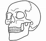 Skull Plain Template Simple Coloring Pages Templates sketch template