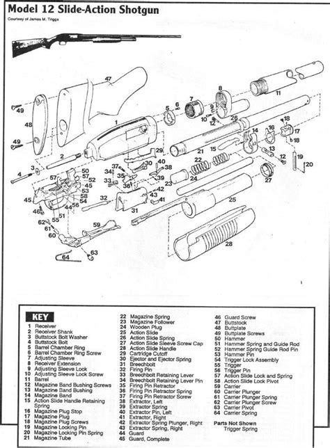 winchester model  parts diagram  wiring diagram images   finder