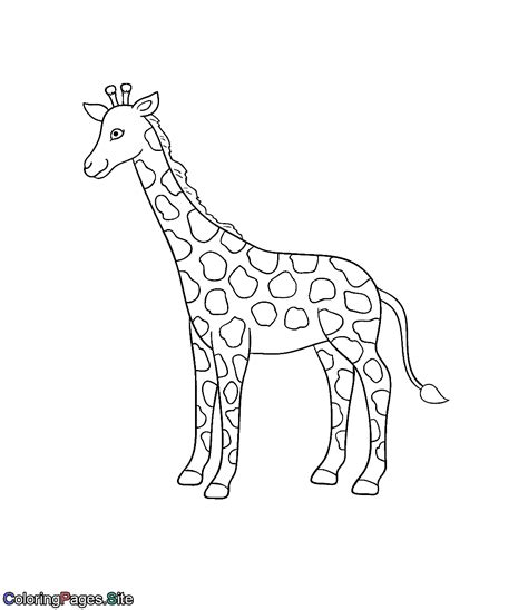 giraffe coloring page coloring pages