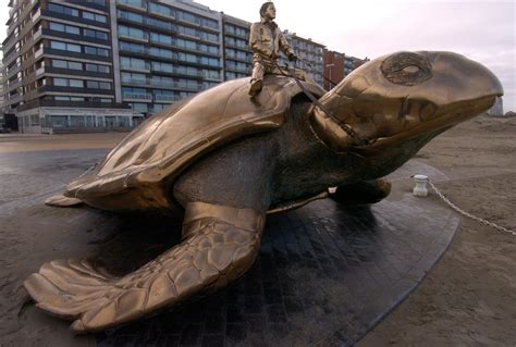 schildpad van fabre verdwijnt van dijk nieuwpoort de standaard