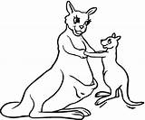 Kangaroo Coloring Pages Outline Baby Printable Drawing Kangaroos Clipart Clip Mother Results Boxing sketch template