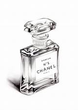 Chanel Realistic N5 Greenorc Flacon Tekenen No5 Graphite Stilleven Bottles Frasco Shading Voorwerpen sketch template