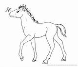 Plaguedog Lineart Foal sketch template