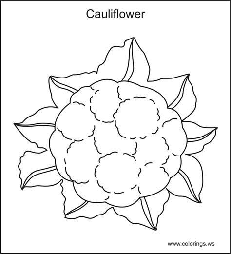 vegetable coloring book pages   print  color vegetable