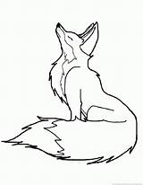 Foxs Raposas Foxes Coloringhome Howling sketch template
