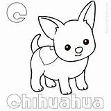 Chihuahua Chiwawa Coloringbay Coloringfolder Bestcoloringpagesforkids Pets sketch template