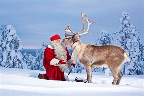 pix  santas reindeer deutsche weihnachten rentiere