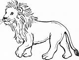 Coloriage Lionceau Dessin Singa Mewarnai Hutan Imprimer Raja Binatang Sketsa Imprimé sketch template