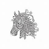 Paardenhoofd Kleurboek Paarden Volwassenen sketch template