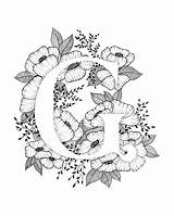 Letter Calligraphy Alphabet Ink Etsy Print Monogram Typography Flowers Illuminated Coloring Pages Choose Board Embroidery sketch template