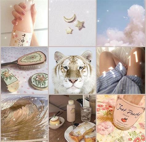 Pin By Ave B On Moodboards In 2020 Mood Colors Adopt