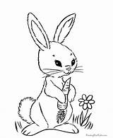 Coloring Pages Cute Rabbit Getcolorings Bunny sketch template