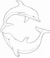 Dolphin Drawing Drawings Coloring Dolphins Pages Jumping Easy Line Clipart Cliparts Draw Step Pencil Clip Adults Color Kids Ecco Library sketch template