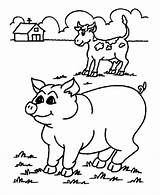 Coloring Pages Pig Animal Learning Years sketch template