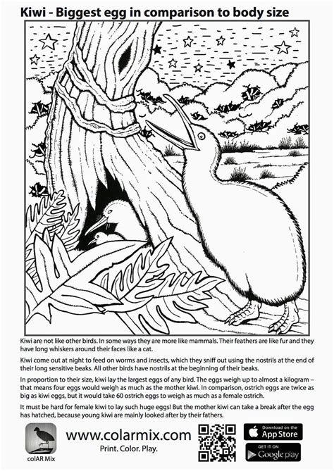 quiver coloring pages  print   goodimgco