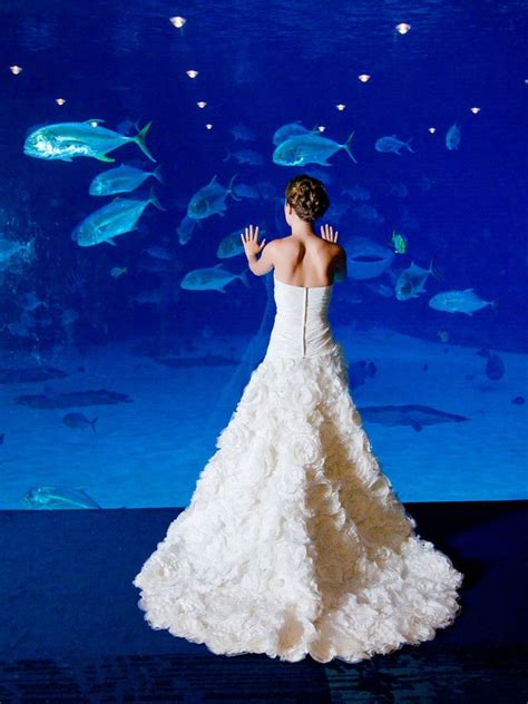Georgia Aquarium Wedding Aquarium Wedding Future Wedding Wedding