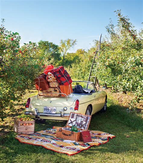 fall picnic road trip—get the look