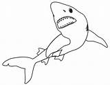 Coloring Sharks Shark Popular Jaws sketch template