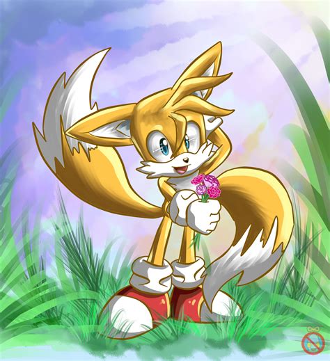 Ce Tails The Fox By Shadowhatesomochao On Deviantart