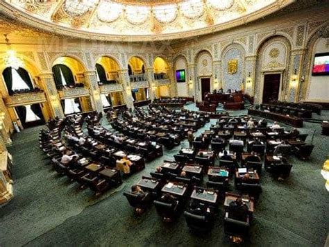 senatul  adoptat proiectul de lege  desfiintarii sectiei speciale jurnalul de arges