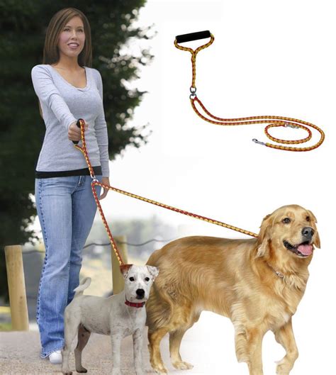 pin  collars harnesses  leashes