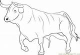 Bull Coloringpages101 sketch template