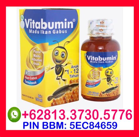 nutrisi multivitamin vitamin vitabumin suplemen makanan asupan gizi anak susah makan