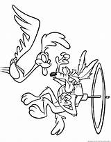 Coloring Runner Road Roadrunner Pages Coyote Cartoon Wile Drawing Clipart Getdrawings Popular Library sketch template
