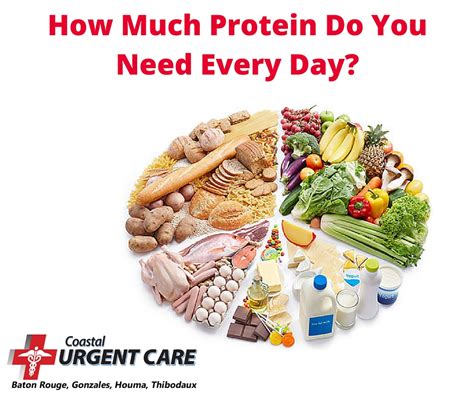 How Much Protein Do You Need Every Day