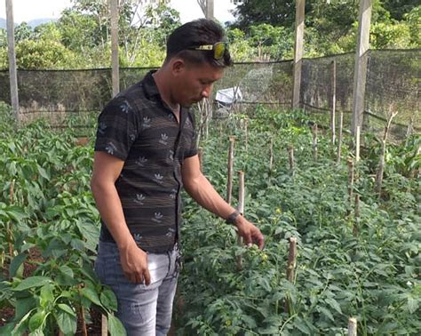 Bridging The Language Gap The Role Of Indigenous Agriculture Extension