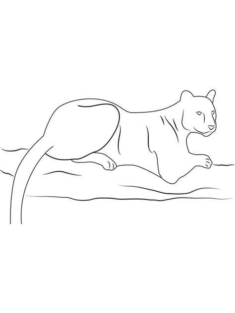 panther coloring pages