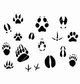Animal Tracks Footprints Vector Newdesign Cartoon Clip Via sketch template