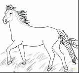 Horse Coloring Pages Quarter Mustang Horses Printable Pony Pretty Wild Herd Cute Getcolorings Realistic Color Running Print Getdrawings Colorings sketch template