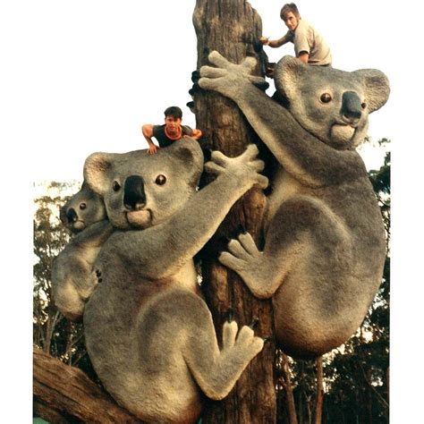 giant koalas family  tree trunk sculptures  australia