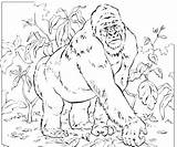 Gorilla Coloring Pages Mountain Silverback Colouring Ivan Printable Only Baby Animals Revelation Kids Sheets Color Gorillas Joking Craft Books Getcolorings sketch template