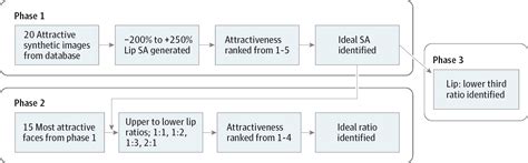 a quantitative approach to determining the ideal female lip aesthetic