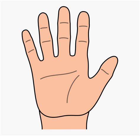 clipart  represent hand  hands hands  fingers clipart  transparent clipart