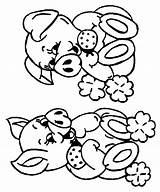 Coloring Pig Pages Library Clipart Printable Malvorlage sketch template