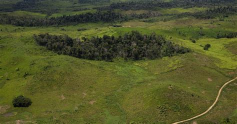 opinion the amazon on the brink the new york times