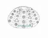 Urchin Coloring Sea Designlooter Zentangle Similar Items Etsy 456px sketch template