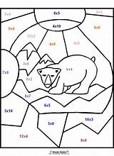 Coloring Colorare Multiplication Bear Tabelline Orso Polare Disegni Bambini Colora Calcola Bimbo Graders Bello Violetta Animaljr Fattoria sketch template
