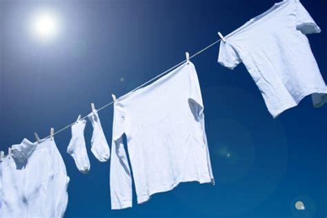 waesche waschende ihr portal fuer waschen reinigen und textilpflege