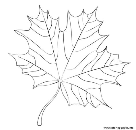 maple leaf fall coloring page printable